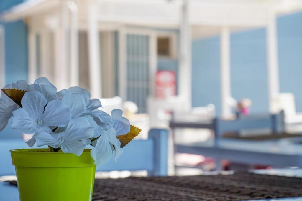 Cesme Minerva Port Hotel Dış mekan fotoğraf